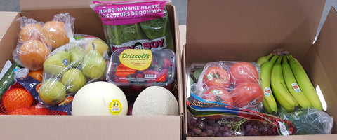 Copy of Produce Kit - Medium Size