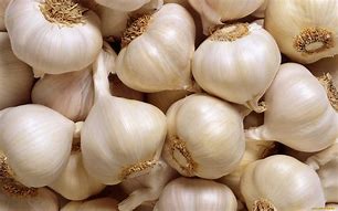 Garlic - Jumbo