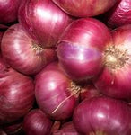 Onion Red Jumbo